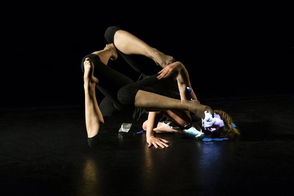 Photograph Mladen Bozickovic Centipede on One Eyeland